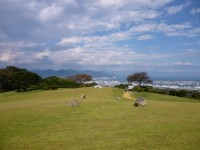 ホテル庭から見た清水港、並んだ石の先に富士山が見えるはず