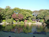 東京国立博物館裏庭の池に映る紅葉